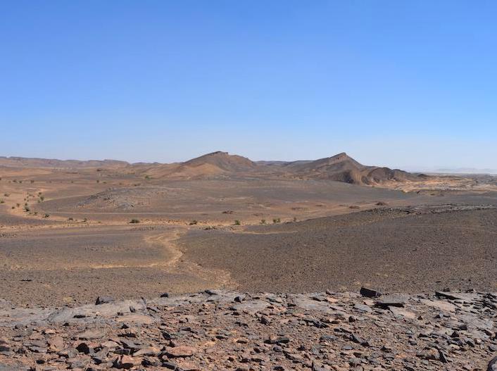 Discovering Fossils and Minerals on Guided Tours