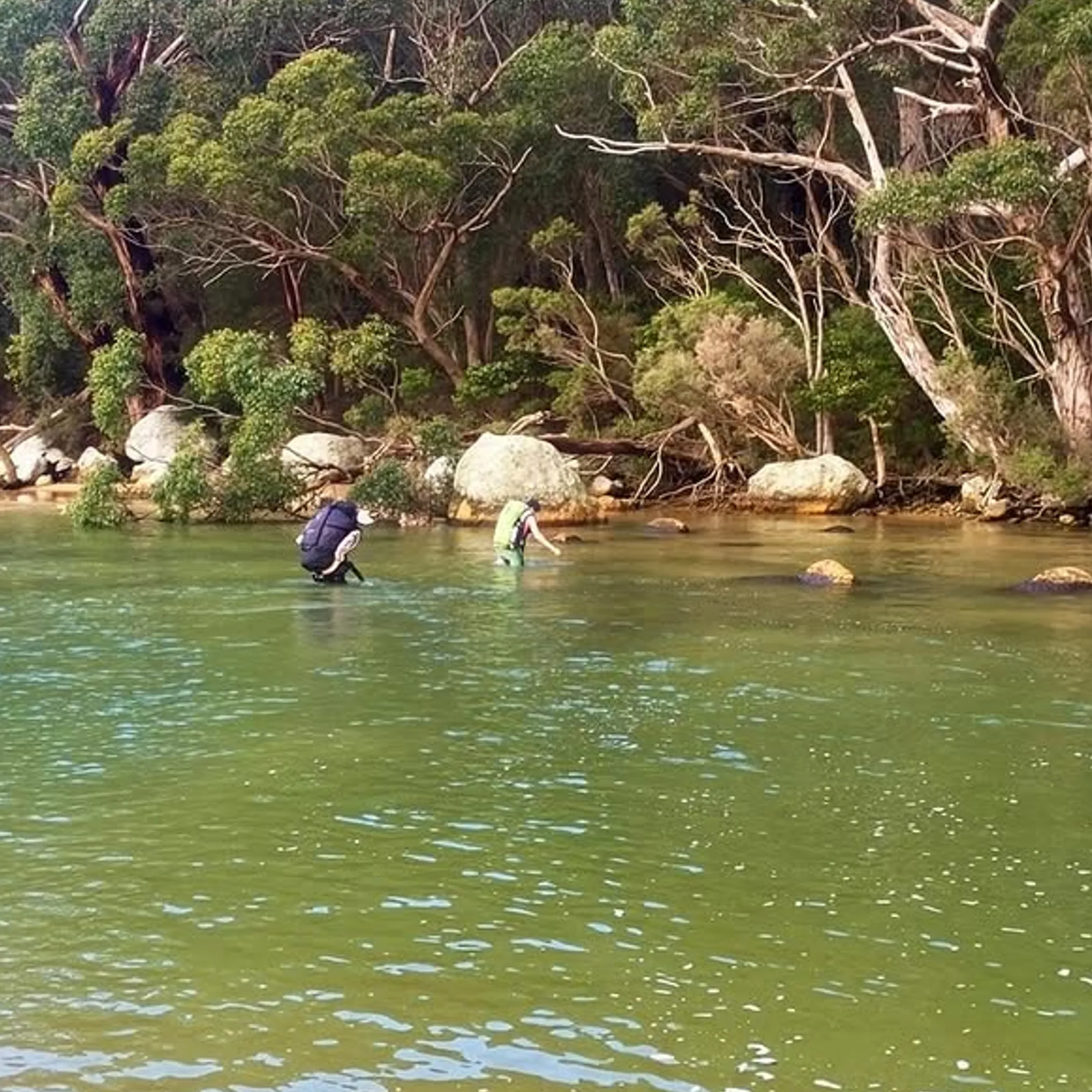 bushwalkers near natural water