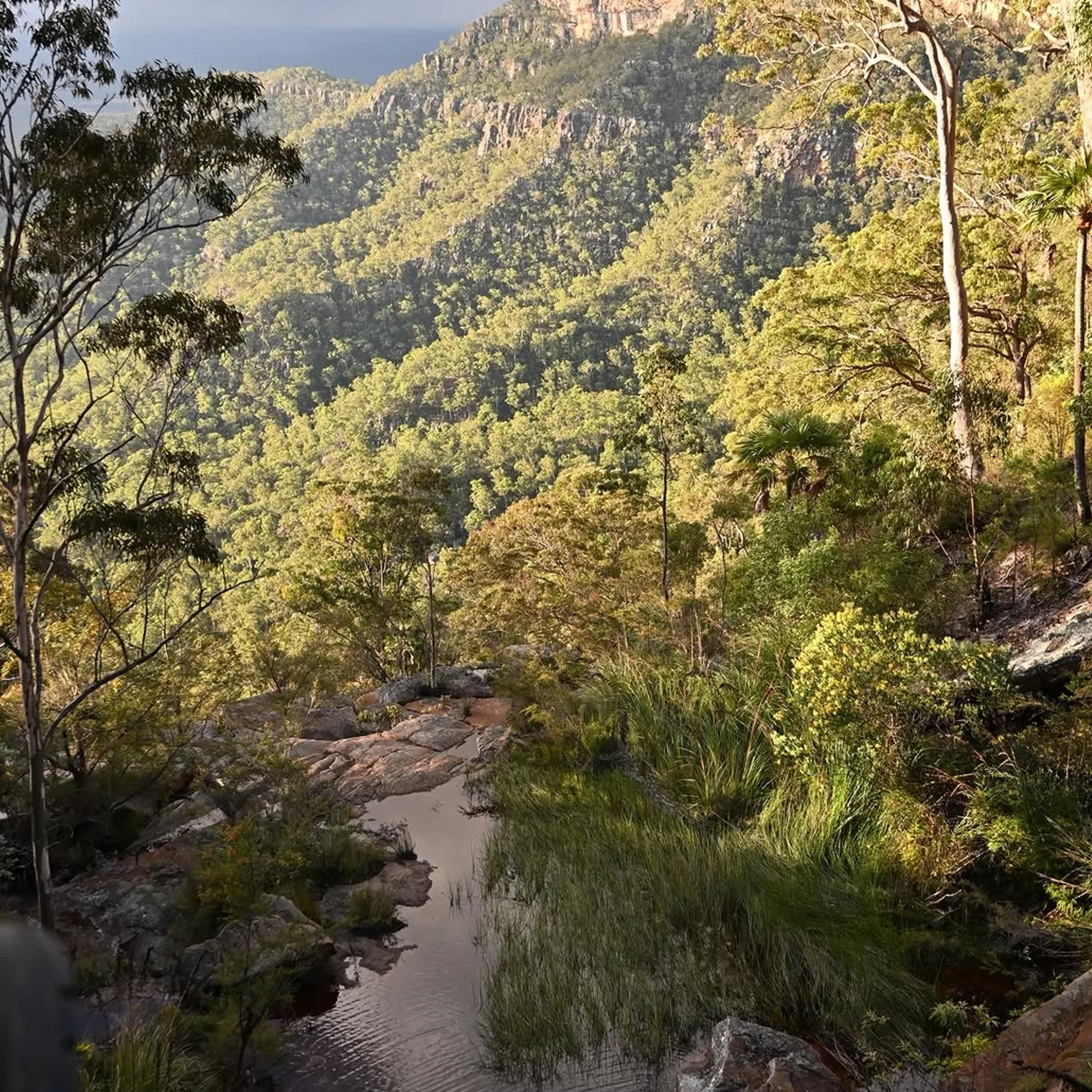 creek trail, forest and sandstone escarpment